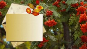 Я пришлю тебе осень в обычном почтовом конверте.