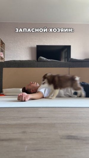 Вот и думай потом😂🐶 #морозовы #юмор #отношения #юмор