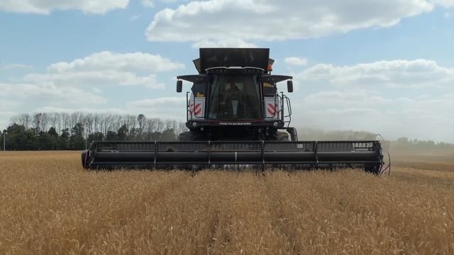 С TORUM 785 уборка пройдет гладко