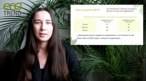 Как подготовить декларацию о негативном воздействии на окружающую среду: Пошаговое руководство