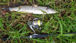 С новичком по микро-речке