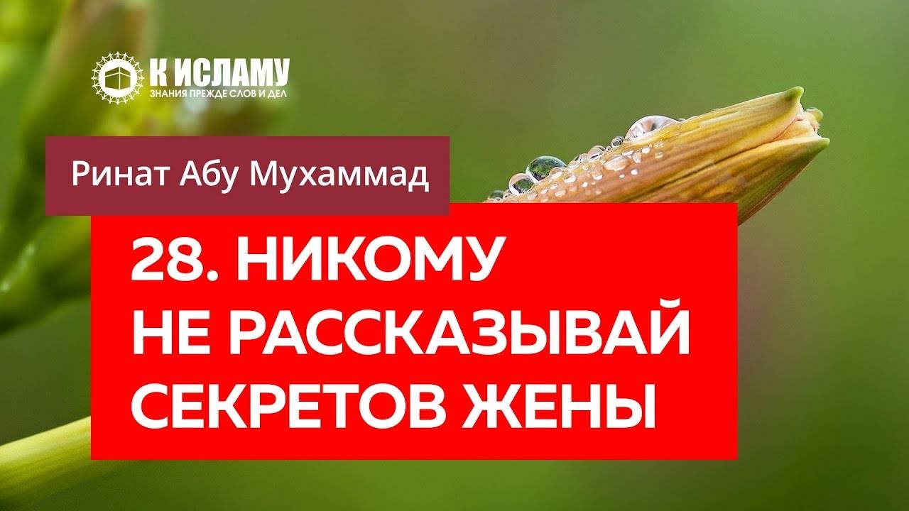 28/40) Никому не рассказывай секретов жены | Ринат Абу Мухаммад смотреть онлайн