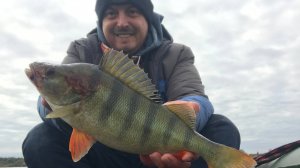 СНОВА ТРОФЕЙНЫЙ ОКУНЬ НА ОЗЕРЕ