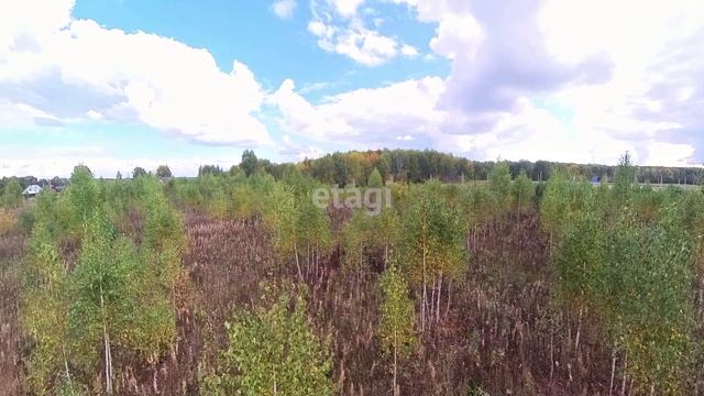 9822413 смотреть онлайн