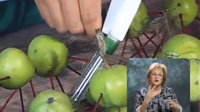 Букет. Выпуск 106 смотреть онлайн