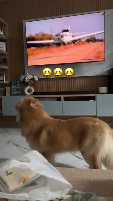 Вовремя увернулся 😂 смотреть онлайн