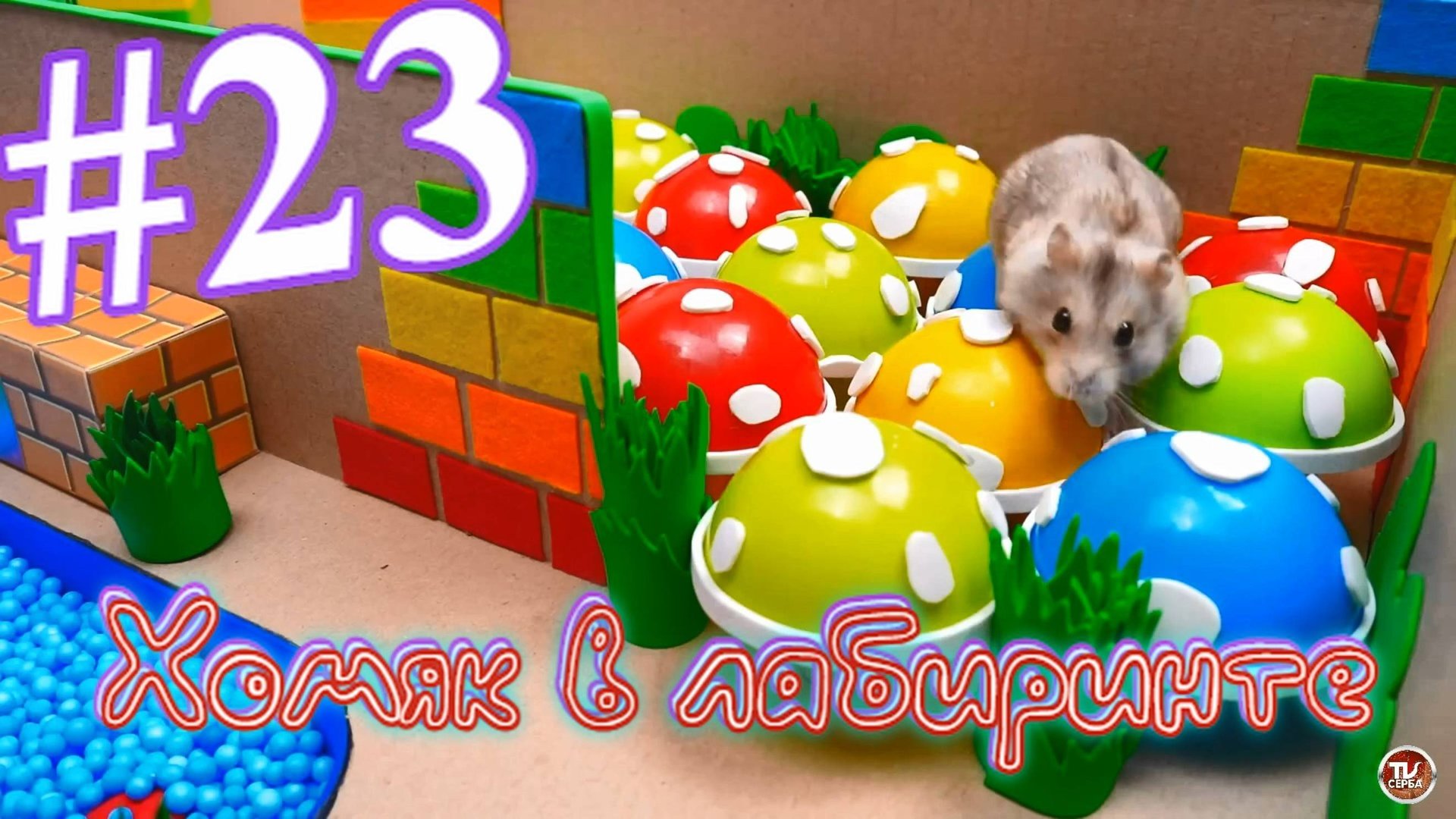 Хомяк в лабиринте (23 серия) смотреть онлайн