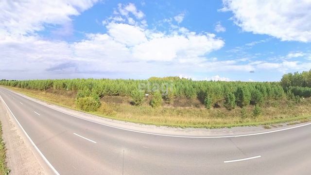 9811654 смотреть онлайн