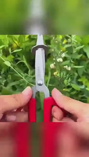 Нужные лайфхаки