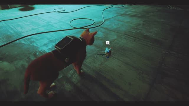 Stray.  Робовейник. Часть 19