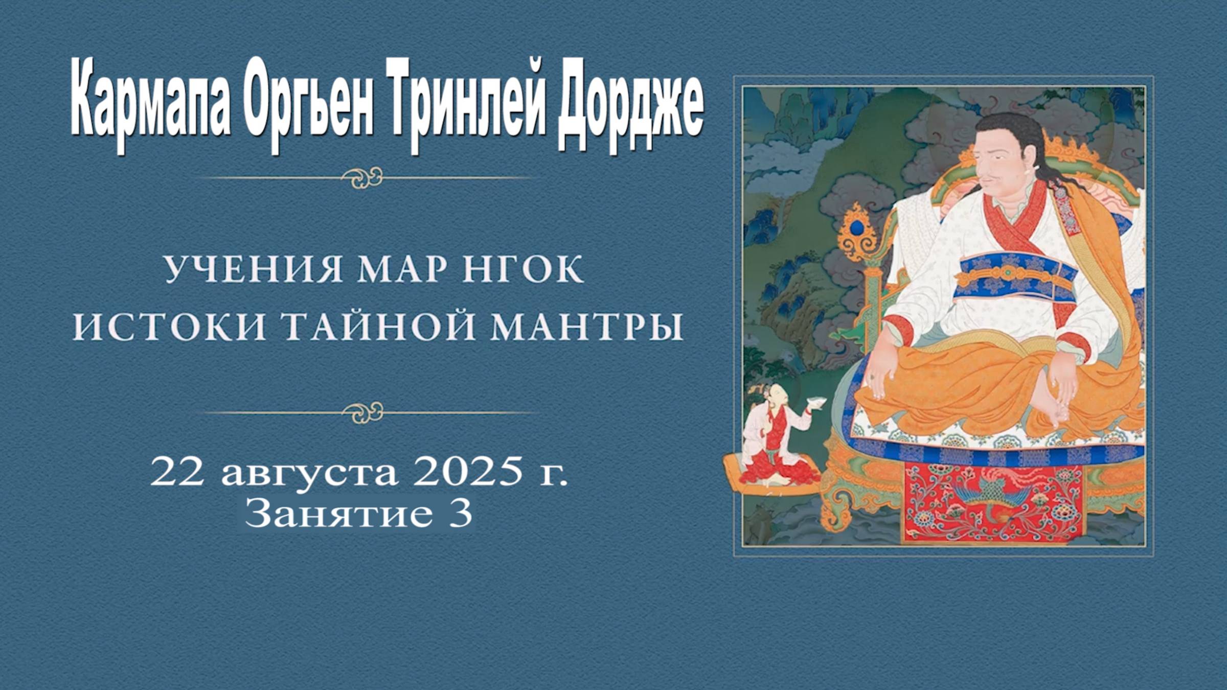 Гьялванг Кармапа Оргьен Тринле Дордже. Летние учения Мар Нгок – 2025. Занятие 3 смотреть онлайн