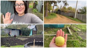 🏡ПРО ПОКУПКУ ДАЧИ отвечаю на❓/НЕ УСПЕЛИ ВСЕ ВСПАХАТЬ🌧️ /Смотрим соседние дачи🏡/УБИРАЮ ТРАВУ