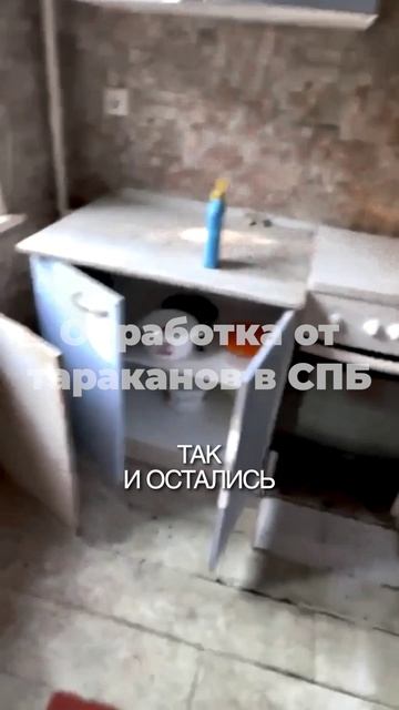 Обработка от тараканов Санкт-Петербурге