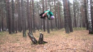 in the forest