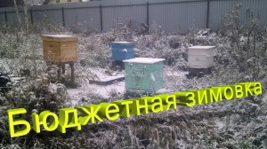 Зимовка пчел БЕЗ затрат? Секрет профессора Кашковского