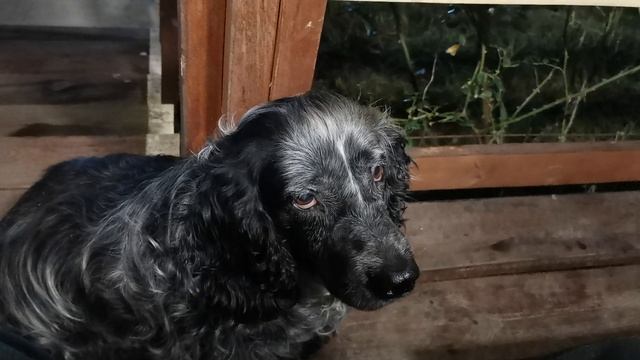 СОЧИ . ГОРНОЕ ЛОО. УТРО. 16.09.2025 смотреть онлайн