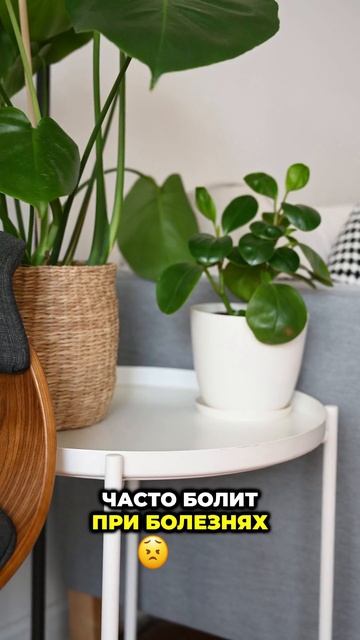 Если у вас болит правый бок со спины, это может быть связано с камнями в почках