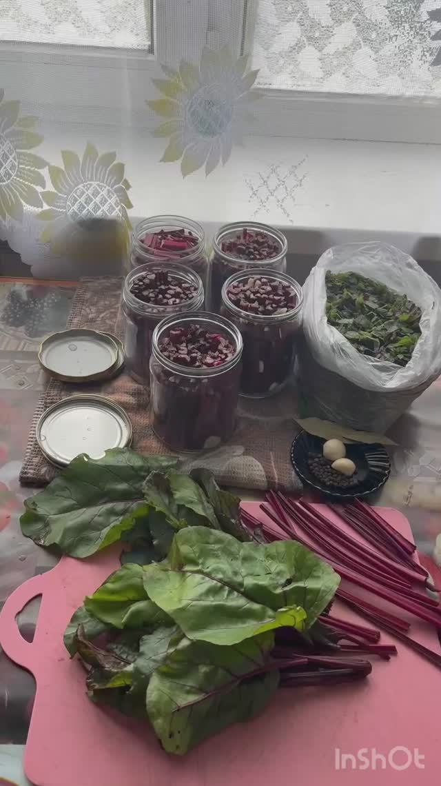 Заготовка свекольной ботвы в прок #свекла #ботва #заготовки #впрок #дача смотреть онлайн