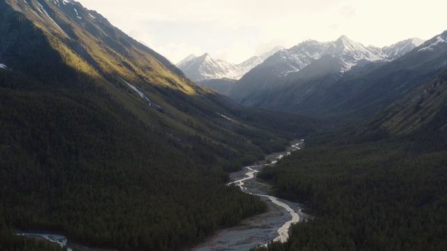 Красивое чтение Корана عبدالله الموسي смотреть онлайн
