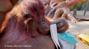 Система отработана- подарки для Даны доставляются в точку! Только одна проблема- не всё пролезет..