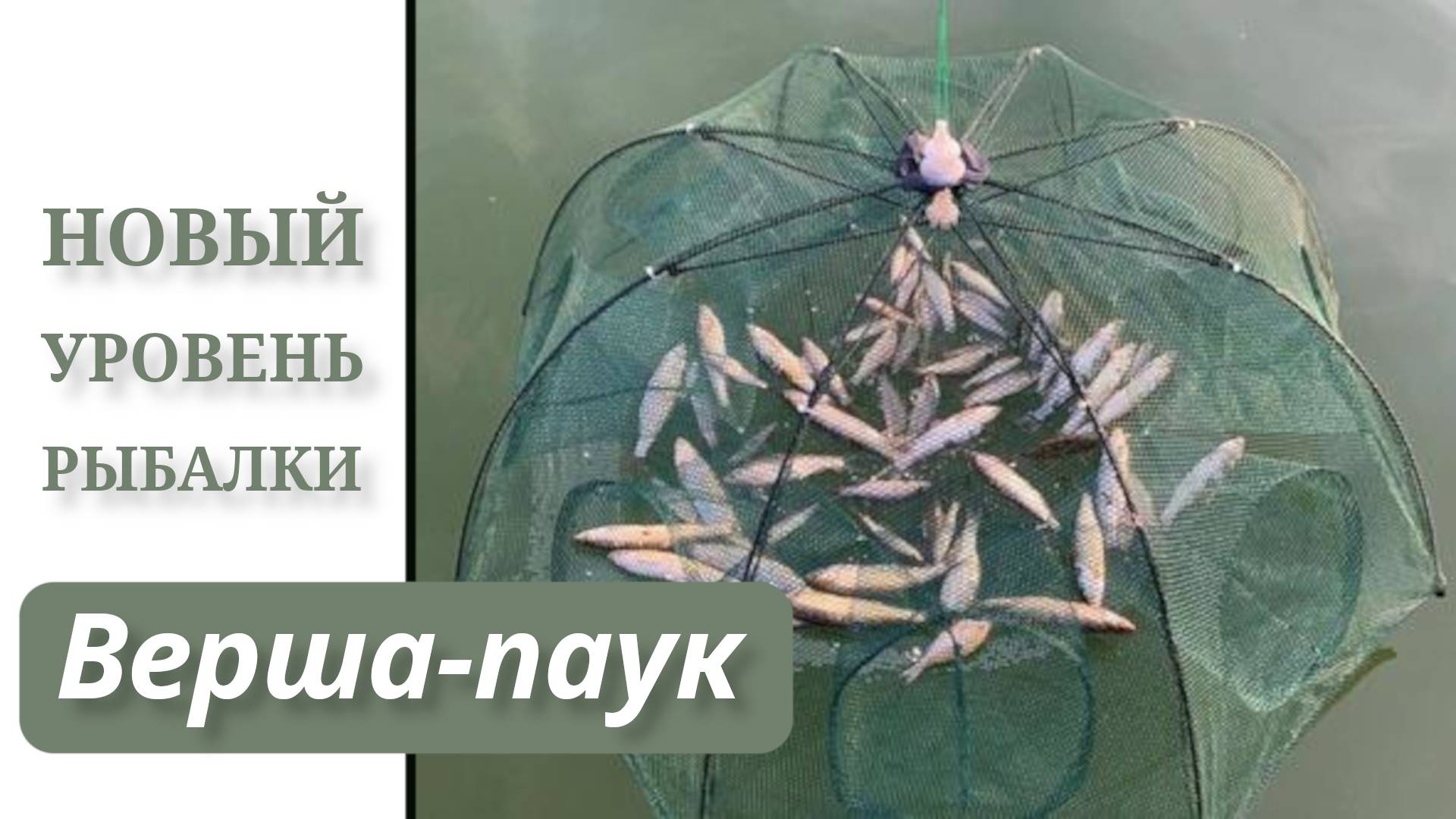 Усовершенствованная Вершa-Паук — рыбалка без хлопот 🎣
