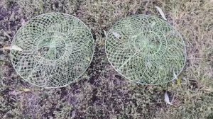 Сравниваю ПРИМАНКИ ДЛЯ РАКОВ осенью. Показываю результат