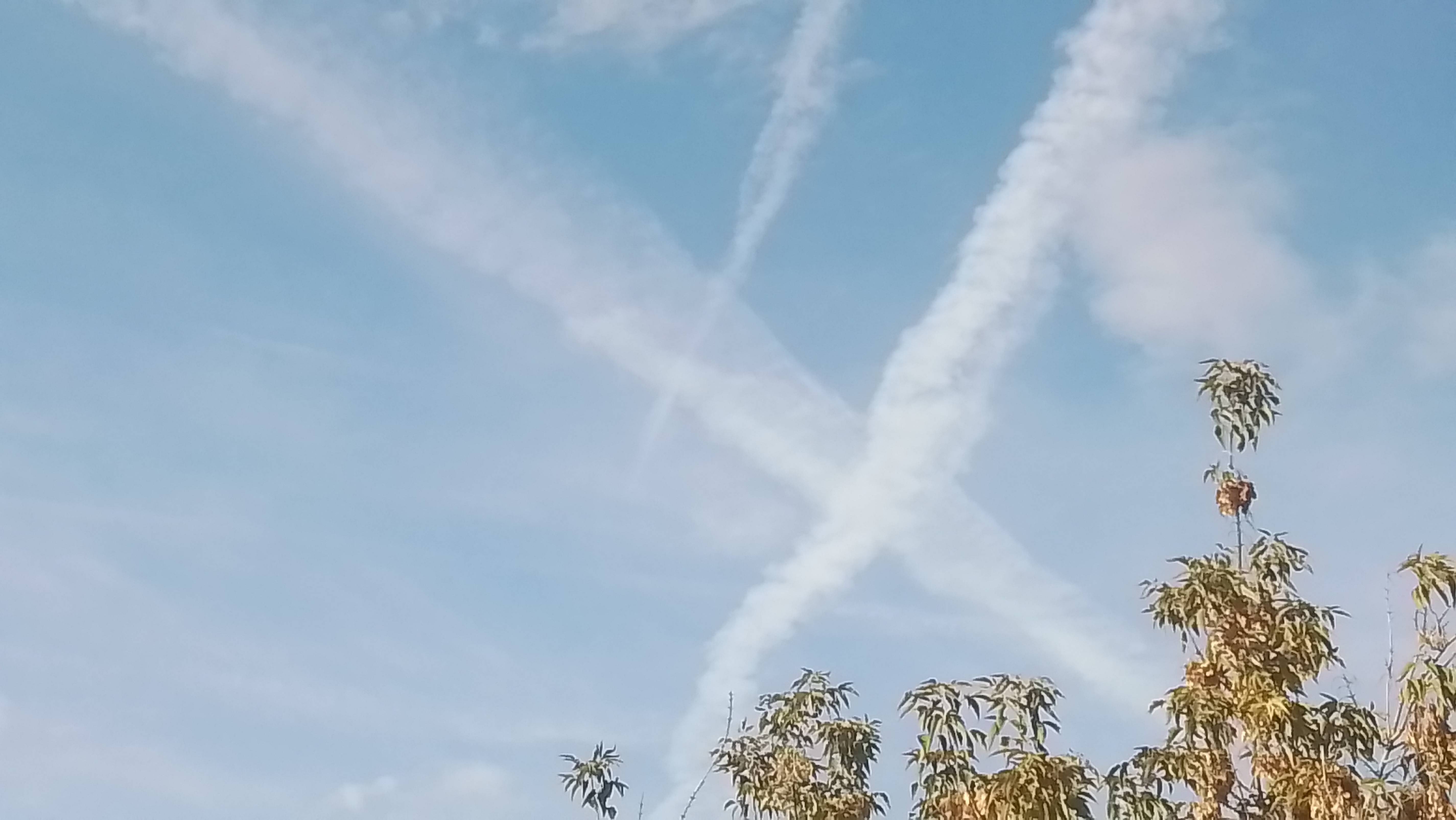 🌈🙏🌈 ....и вот ЧЕРЕЗ МЕСЯЦ... ✨️🤝✨️