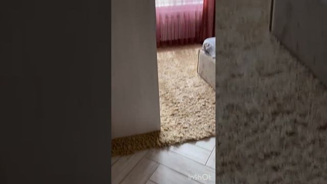 1000190018.mp4 смотреть онлайн