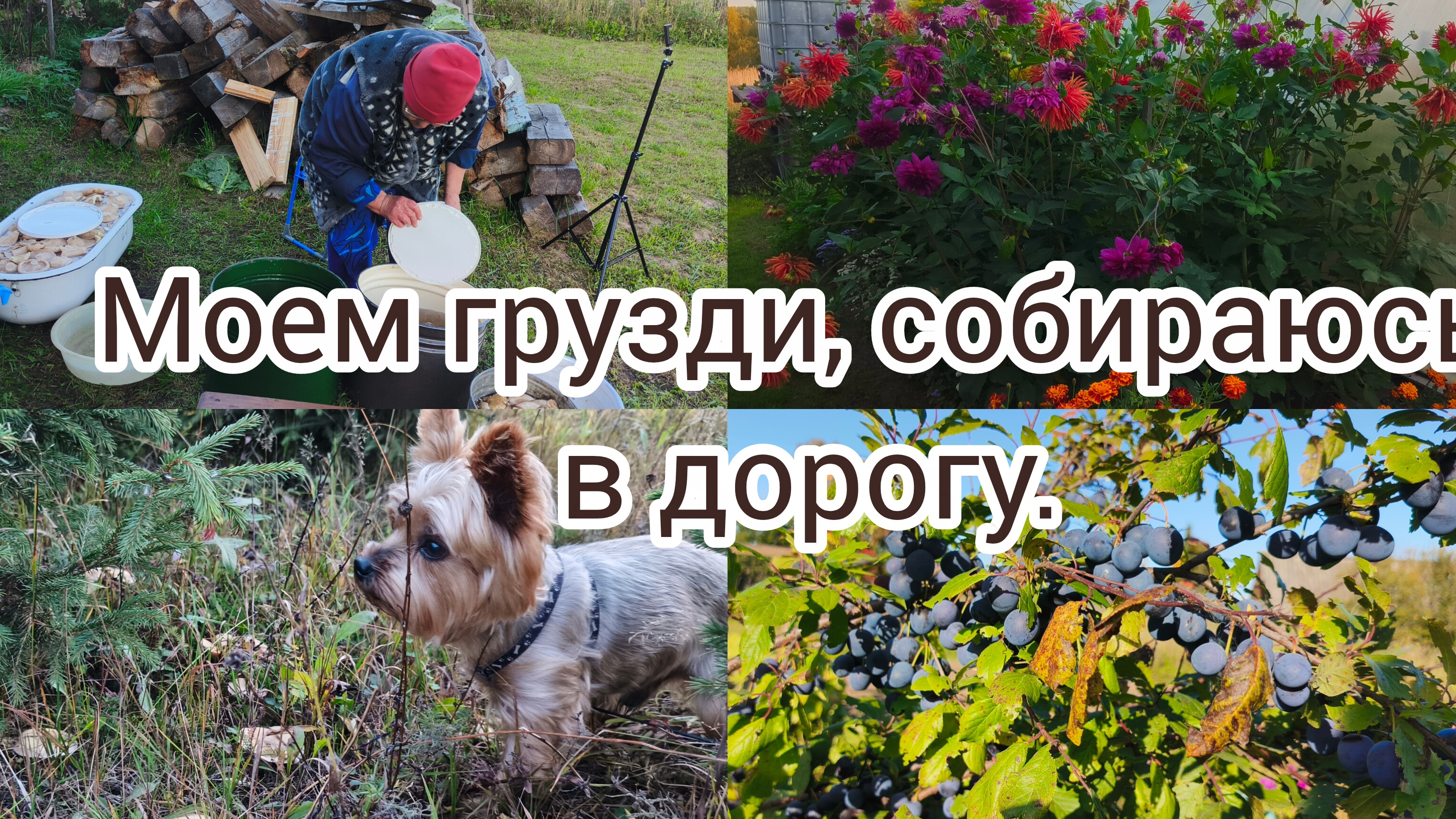 Все о деревенской жизни со Светланой