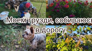 Моем грузди ,собираюсь в дорогу.