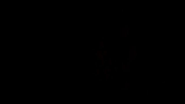 обзор на дом