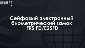 Сейфовый электронный биометрический замок FRS FD/E25FD