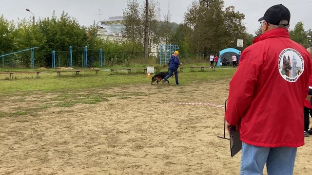 4.  выражено/пож ЗАДИРА ИЗ БЕЛОГО ЯРА (Бакс из Белого Яра – Ural Land Stefani)