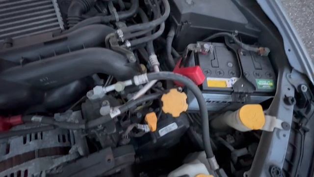 S Legacy №536
