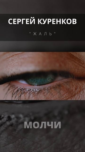 Сергей Куренков - Жаль смотреть онлайн