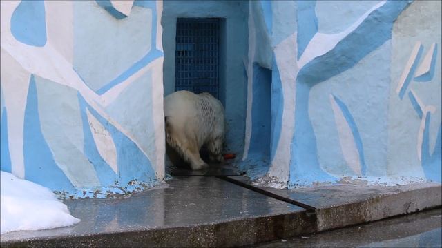 Герда не хочет играть с подарком из Японии 15.09.2025 смотреть онлайн