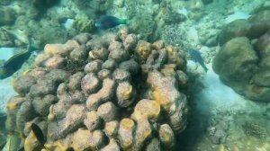 Таиланд Краби о. Poda