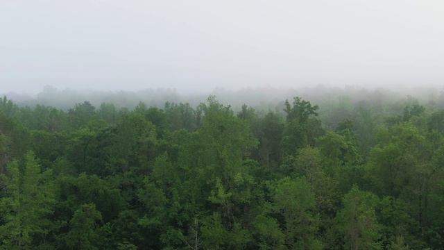 Красивое чтение Корана عبدالله الموسي смотреть онлайн