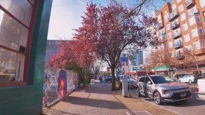 🇺🇸 Сиэтл, США - прогулка по центру города / 2025