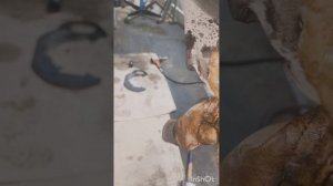 Мазда 3 БК замена переднего ступичного подшипника