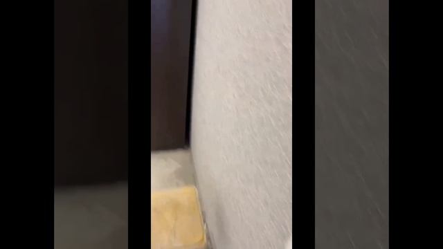 Сделали новую черновую электропроводку в квартире 40кв/м, за два дня. Фирма Электрик
Заявку на полн смотреть онлайн