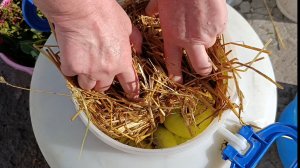 РЕЦЕПТ МОЧЁНЫХ ЯБЛОК В СОЛОМЕ