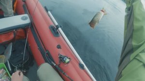 Скандальная рыбалка 18+. Рыбалка на Вуоксе. Рыбалка в Ленинградской области.