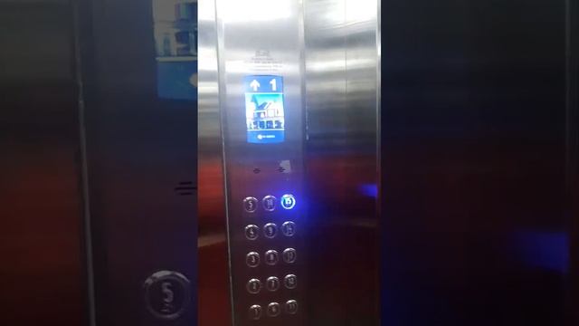 1000177567.mp4 смотреть онлайн