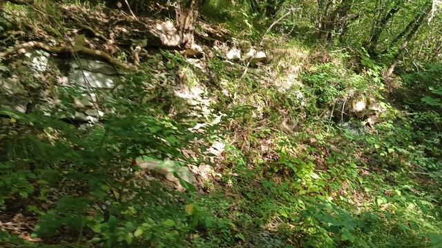 Эко тропа в Новомихайловском#лето2025#Черное море#отель элион