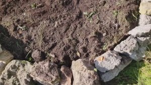 Клумба из камня своими руками.