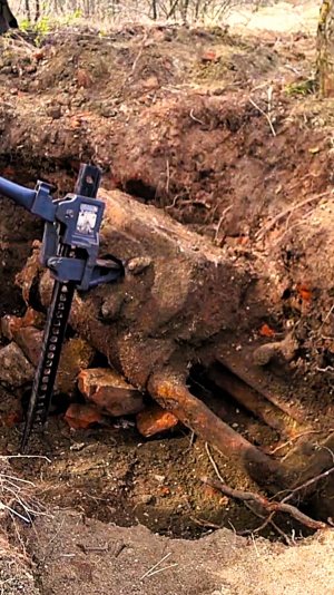 Вся деревня сбежалась посмотреть на эту находку.