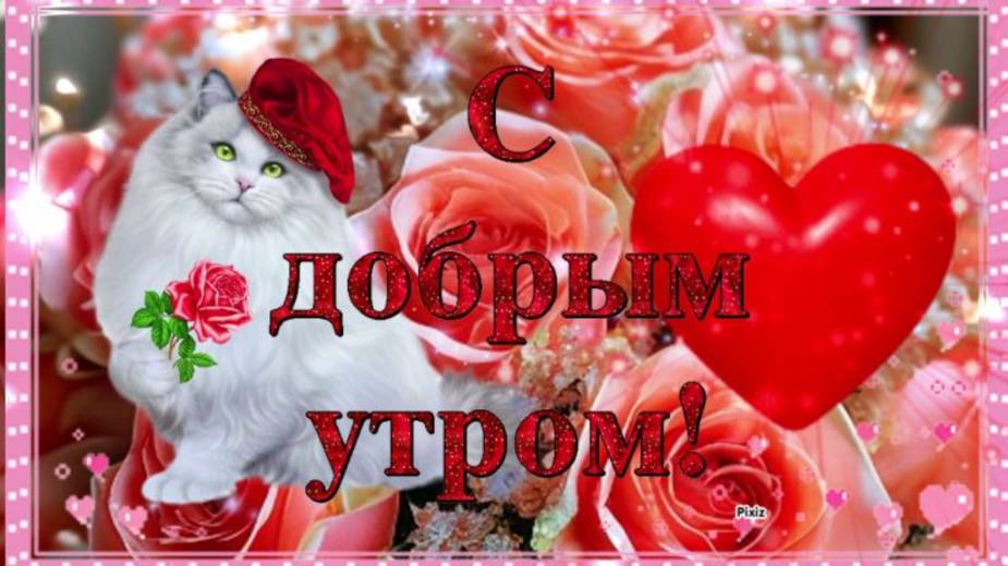 Доброго Осеннего Утра !   Хорошего дня! Тёплого во всех отношениях!