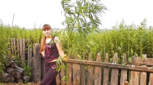 КУПИЛИ ДОМ И ПЕРЕЕХАЛИ В ДЕРЕВНЮ. УБИРАЕМ ТЕРРИТОРИЮ. КОПАЕМ МЕТАЛЛОЛОМ. ИЗ ГОРОДА В ДЕРЕВНЮ 5серия