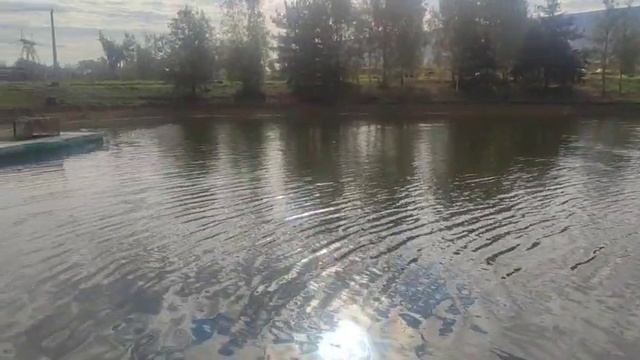 WhatsApp Video 2025-09-16 at 09.53.29 смотреть онлайн